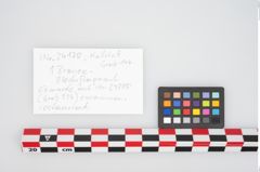 Etikett zu Bronzetutulusscheibenfibel (NHMW-PRAE-024178)